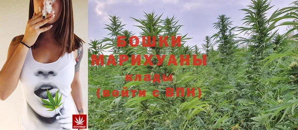 крисы Навашино