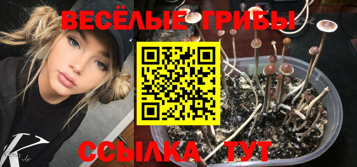 Невинномысск  Галлюциногенные грибы мицелий  наркотики  Вход с VPN  Псилоцибиновые грибы GOLDEN TEACHER 