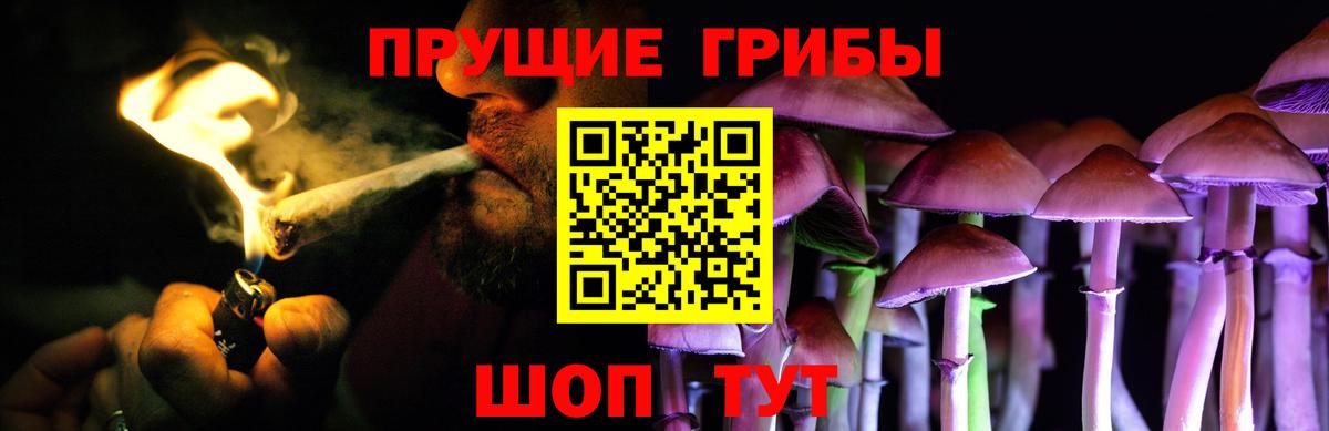 Псилоцибиновые грибы Cubensis Невинномысск