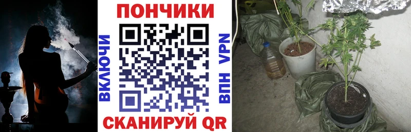 Марихуана индика  Невинномысск 